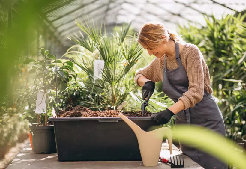 The Top Five Seed Starting Mistakes and How to Fix Them